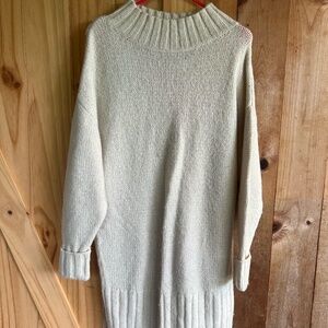 Express Sweater Dress
